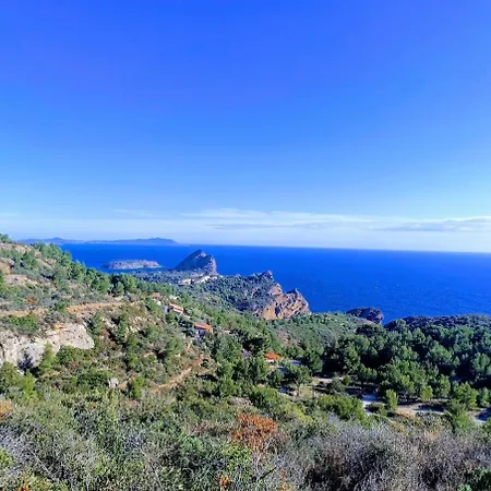 Le Balcon De Sadi Carnot Plein Centre Historique Lägenhet